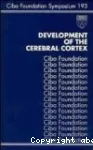 Development of the cerebral cortex