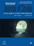 Pre-treatment lesional volume in older stroke patients treated with endovascular treatment