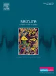 Right-sided vagus nerve stimulation for drug-resistant epilepsy: A systematic review of the literature and perspectives