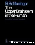 The upper brainstem in the human : its nuclear configuration and vascular supply