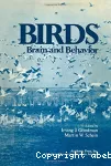 Birds : brain and behavior