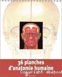 36 planches d'anatomie humaine